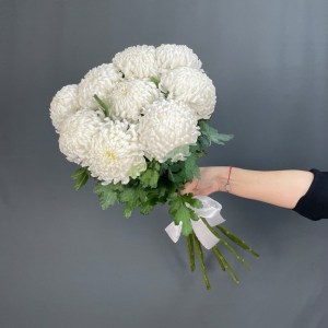 buket-iz-khrizantem-anastasiya7